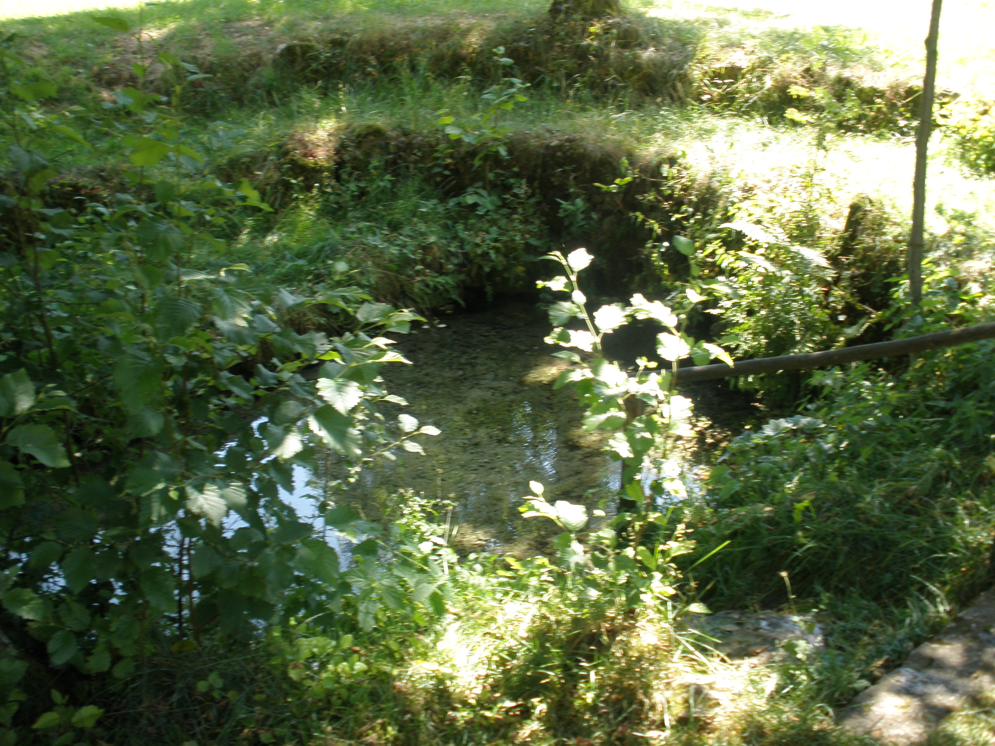 Wiesentquelle